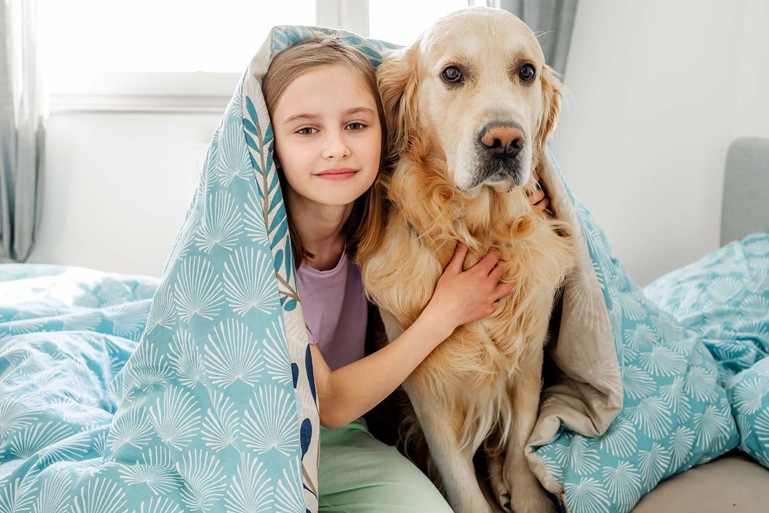 7 Easy Tips to Help Your Anxious Dog During July 4th Fireworks